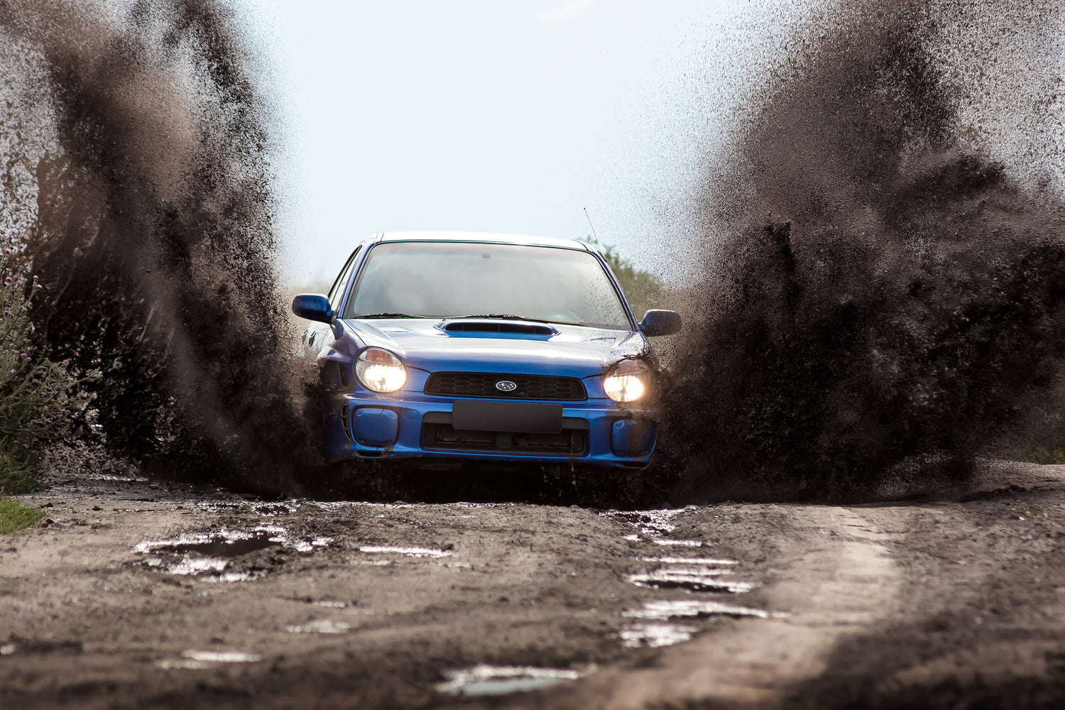 Subaru