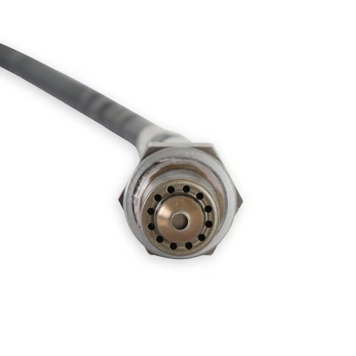 Holley Wideband Replacement  O2 Sniper 1 & Terminator X