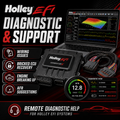 Holley EFI Diagnostic and Support